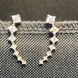 Elegant Silver Earrings